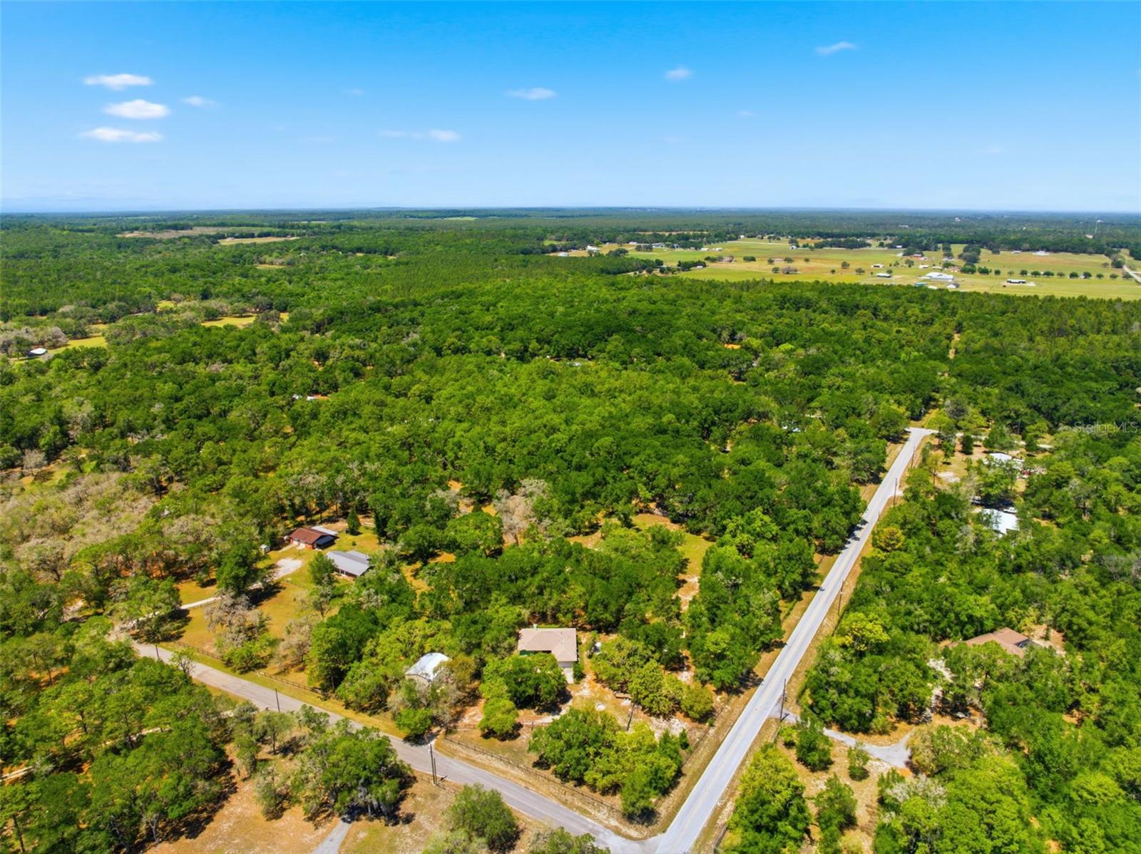 FOREST HILLS - Residential