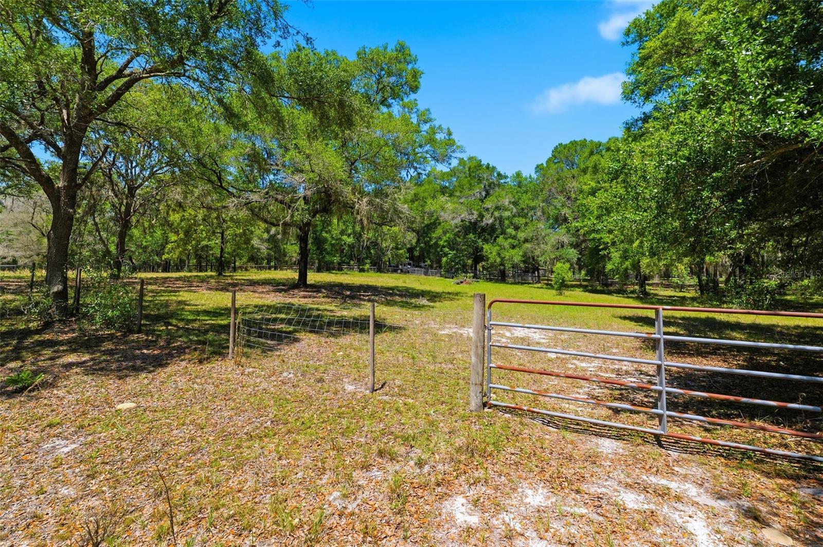FOREST HILLS - Residential
