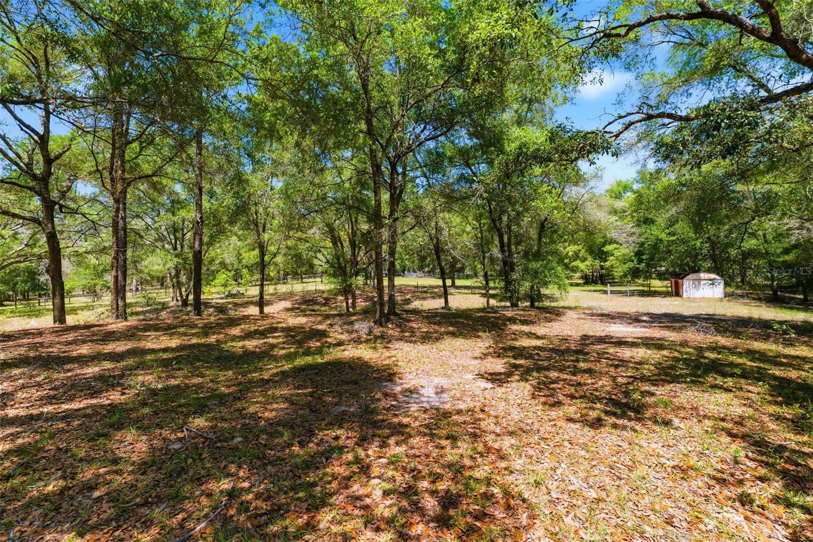 FOREST HILLS - Residential