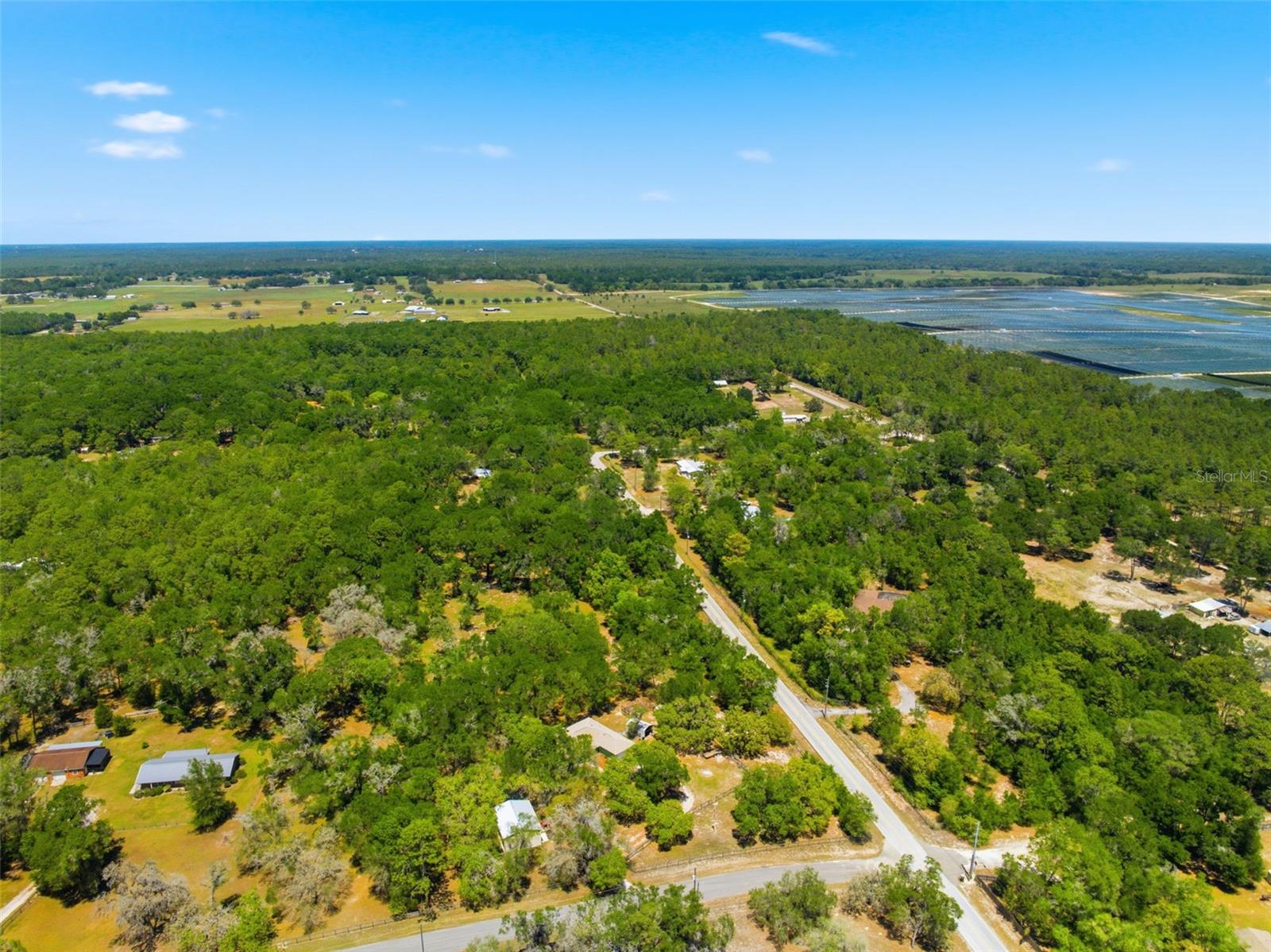 FOREST HILLS - Residential