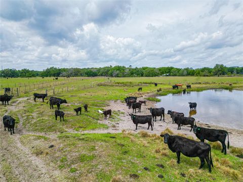 Tiny photo for N C 470, Lake Panasoffkee, FL 33538 (MLS # G5067236)