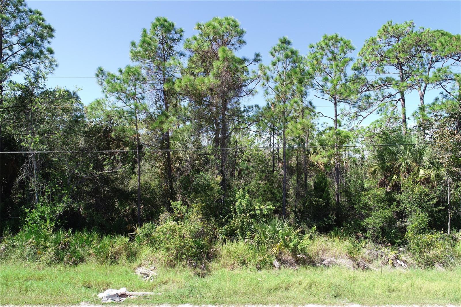 GULF SIDE ACRES - Land