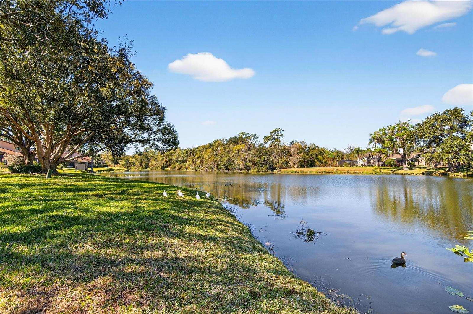 WALDEN LAKE FAIRWAY VILLAS UNI - Residential