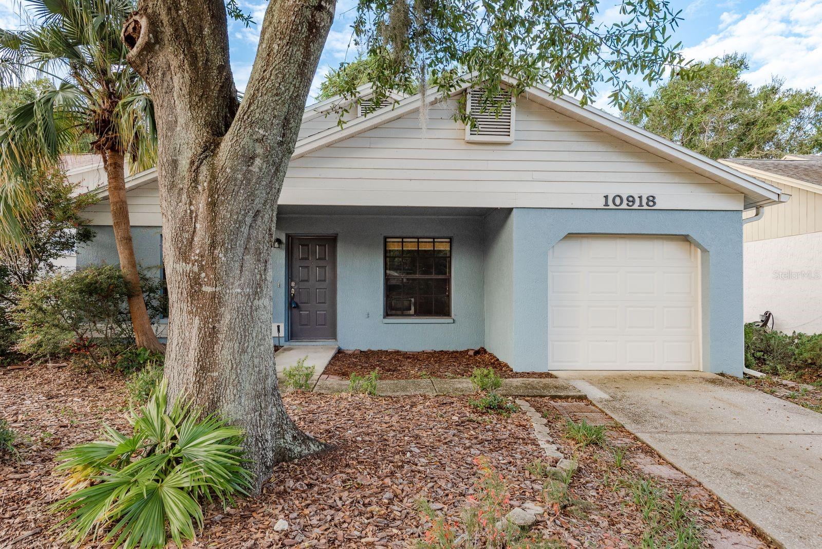 This quaint 2-bedroom, 2-bathroom, 1 car garage split plan home is nestled in the desirable and quiet community of The Oaks at River Ridge. This home features a large living room with cathedral ceilings and sky lights, dining room with built in buffet and display cabinets. Spacious kitchen with pantry and passthrough serving into the living room. All bedrooms are very gracious in size. Huge 24 x12 lanai leading to the fenced rear yard! This home is within walking distance of the recently renovated community pool! Pets are allowed with owner approval and an additional pet fee. This home is centrally located with easy commutes to all the Tampa Bay area including easy access to the Ridge Road extension of the Suncoast Parkway, making trips to Tampa Airport and surrounding areas a breeze. Close to Starkey Ranch and Starkey Wilderness Preserve, offering over 8,000 acres of biking trails, hiking paths, and playgrounds. Just a short ride from lively downtown New Port Richey with many restaurants, bars, shops, and Sims Park where you can enjoy one of the many special events and outdoor concerts throughout the year or stroll along the beautiful riverwalk along the Cottee River. First, last and security deposit are required. Call to schedule your viewing today