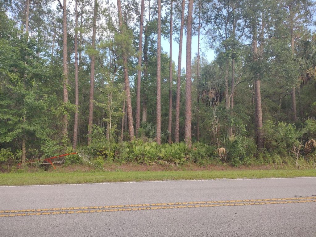 Photo of NE Hwy 314 Highway NE, Silver Springs, FL 34488 (MLS # OM727320)