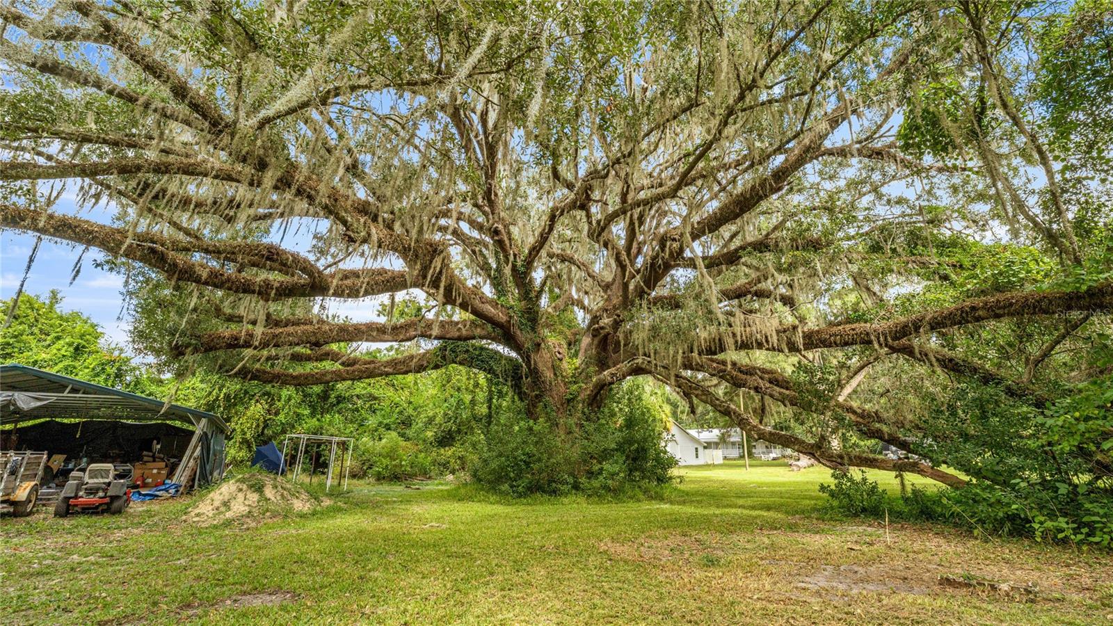 HIGH SPGS PATTONS ADD - Residential