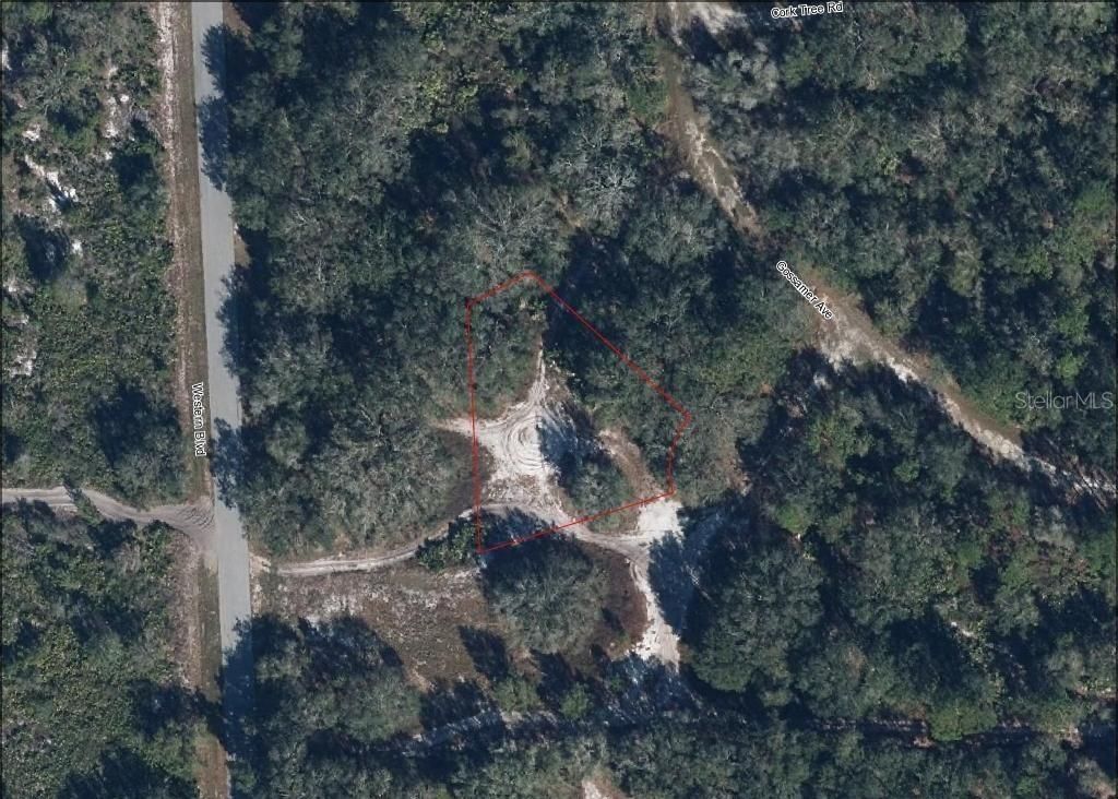 Photo of 3262 Gossamer Avenue, Lake Placid, FL 33852 (MLS # L4952254)