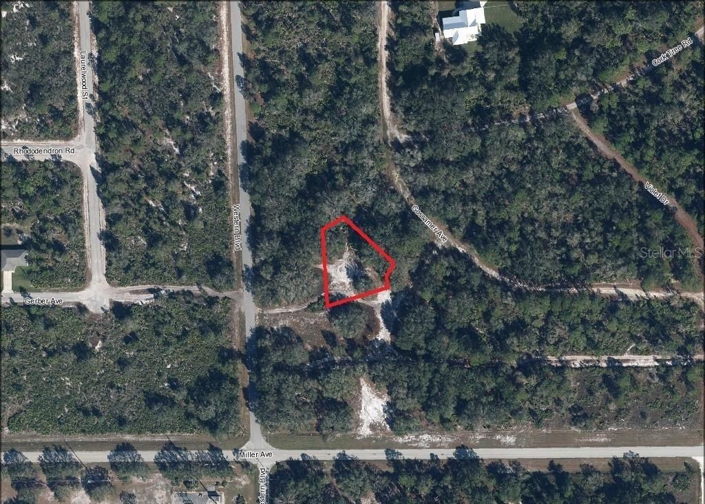 Photo of 3262 Gossamer Avenue, Lake Placid, FL 33852 (MLS # L4952254)