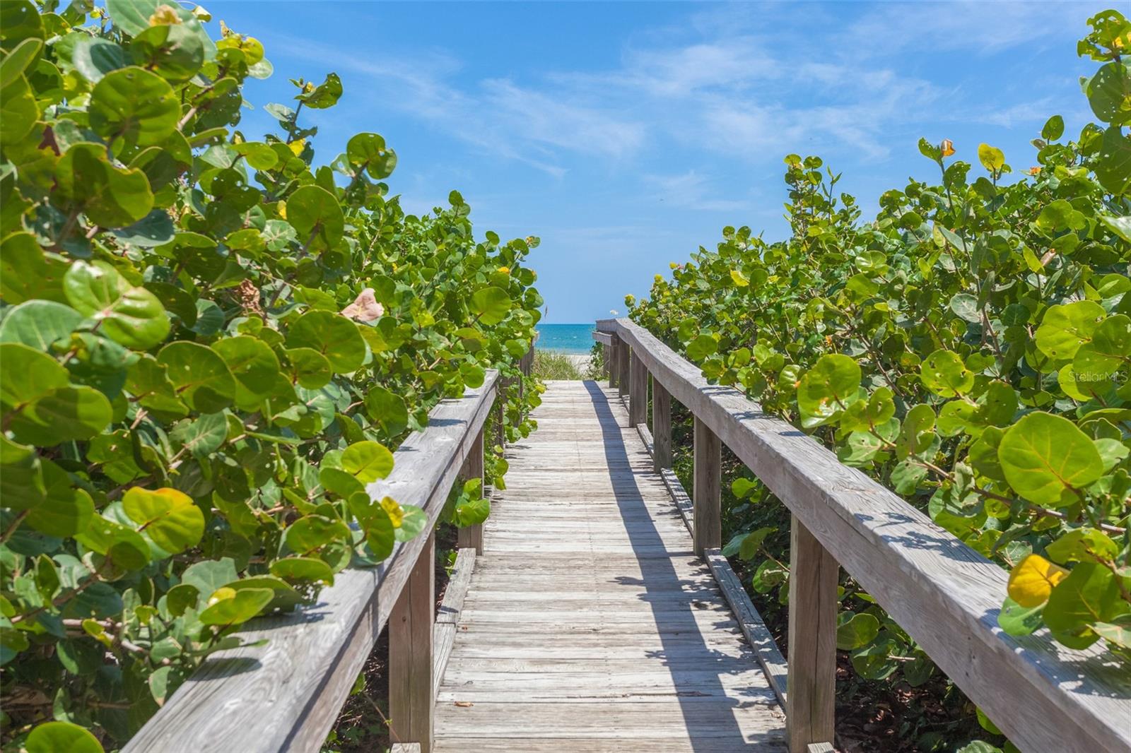 FLORES DEL MAR CONDO - Residential