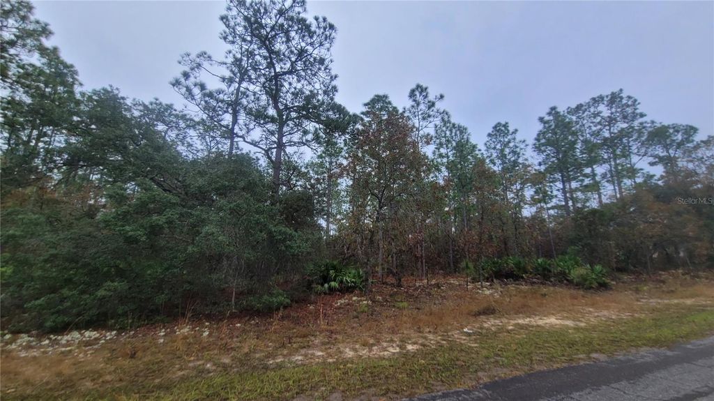 Photo of 4621 N Pink Poppy Dr, Beverly Hills, FL 34465 (MLS # TB8454516)