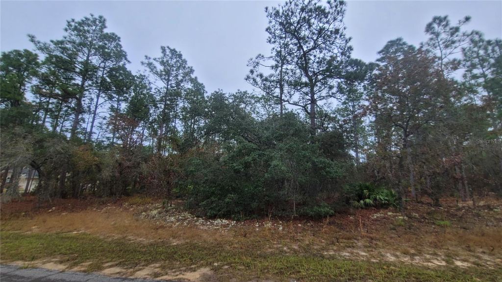 Photo of 4621 N Pink Poppy Dr, Beverly Hills, FL 34465 (MLS # TB8454516)