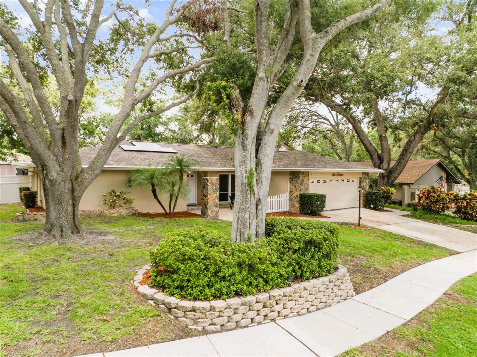 15 SEEDLING DRIVE