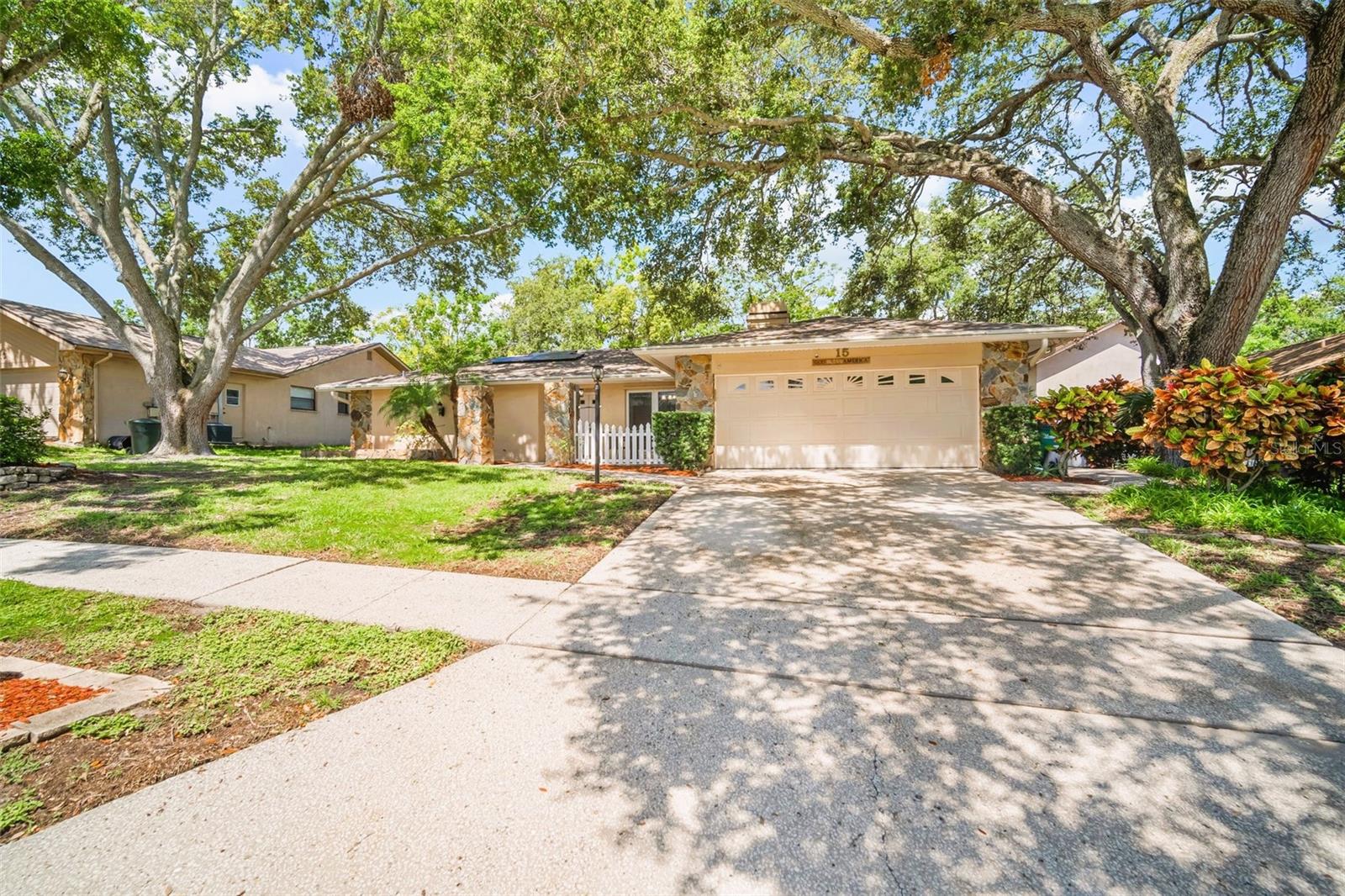 15 SEEDLING DRIVE