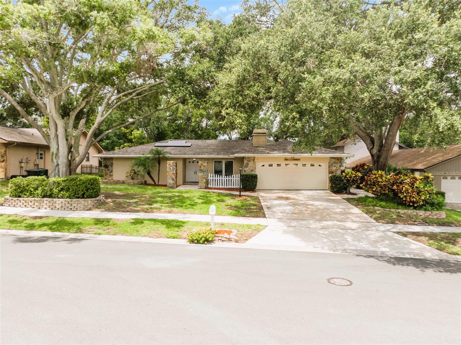 15 SEEDLING DRIVE
