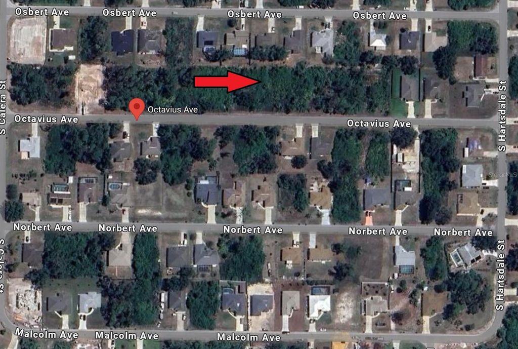 Photo of 973169410 Octavius Avenue, North Port, FL 34287 (MLS # TB8409639)