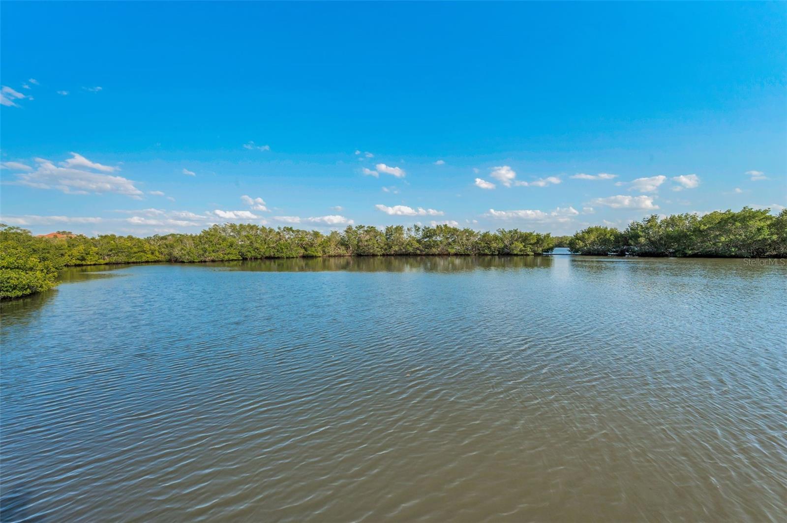 SEMINOLE ISLE CONDO - Residential