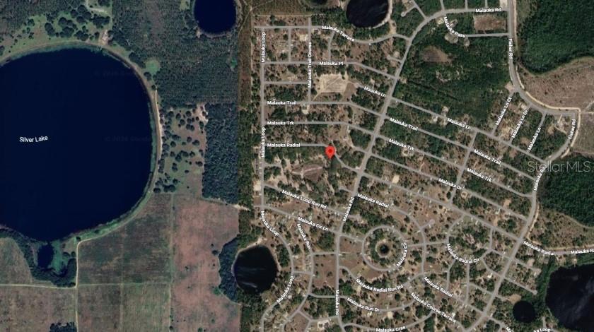 SILVER SPGS SHORES - Land