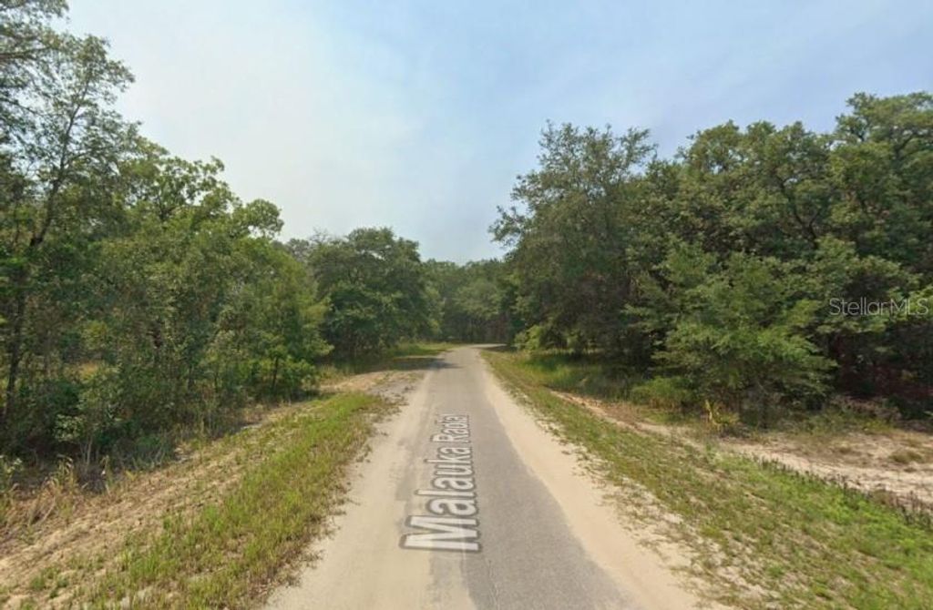 Photo of Malauka Radial, Ocklawaha, FL 32179 (MLS # TB8496248)