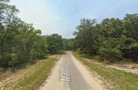 Photo of Malauka Radial, Ocklawaha, FL 32179 (MLS # TB8496248)