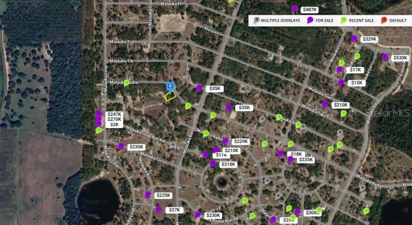 SILVER SPGS SHORES - Land