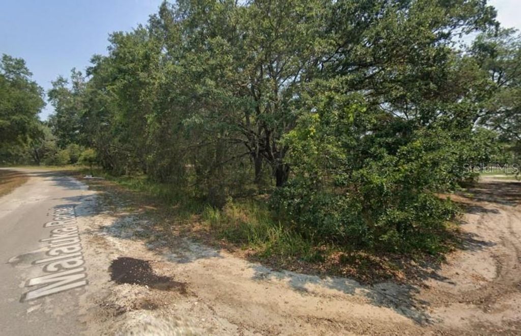 Photo of Malauka Radial, Ocklawaha, FL 32179 (MLS # TB8496248)