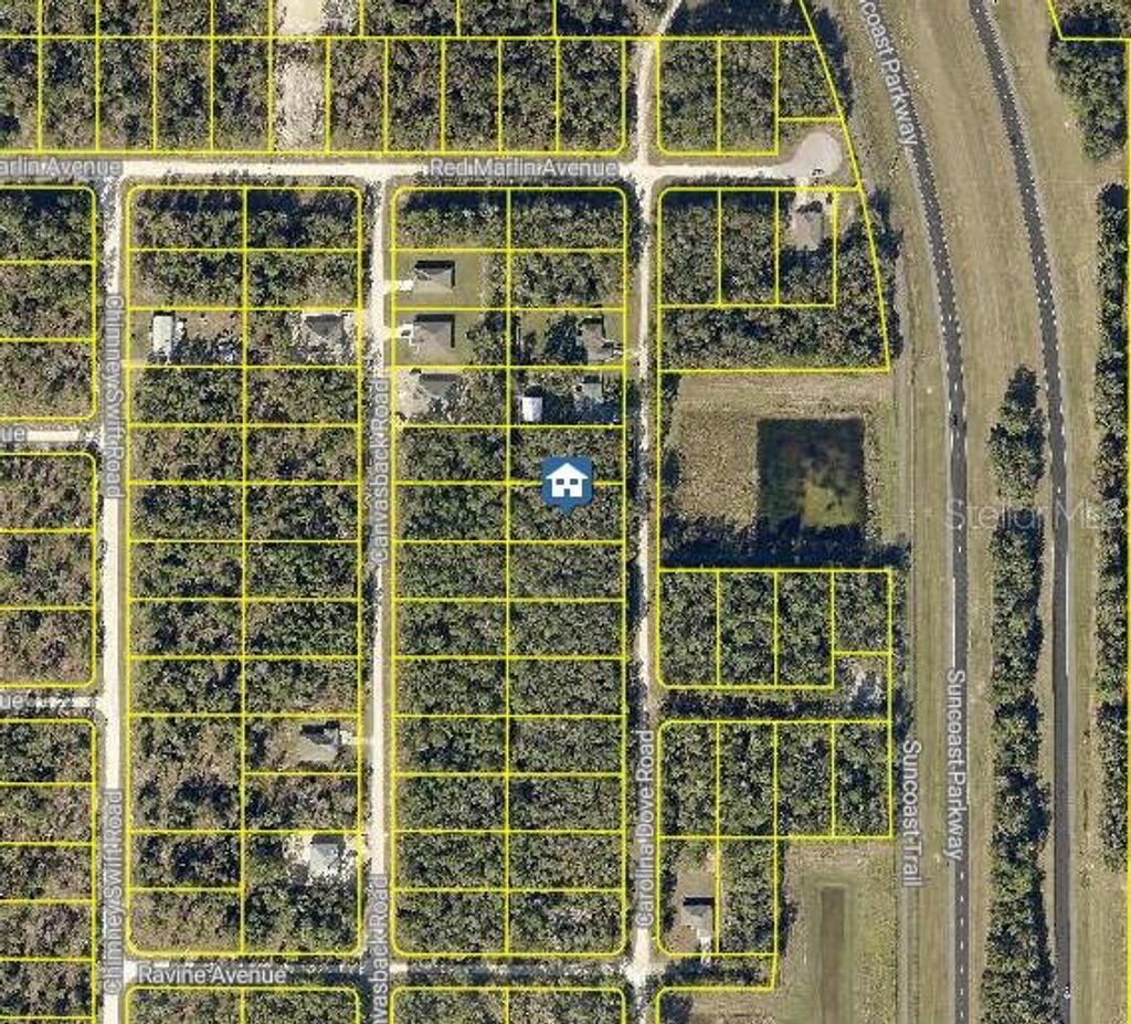 Photo of 1021 Carolina Dove Road, Brooksville, FL 34614 (MLS # W7880277)