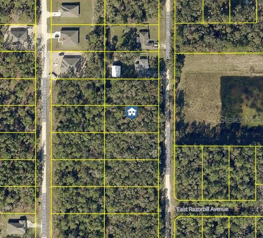 Photo of 1021 Carolina Dove Road, Brooksville, FL 34614 (MLS # W7880277)