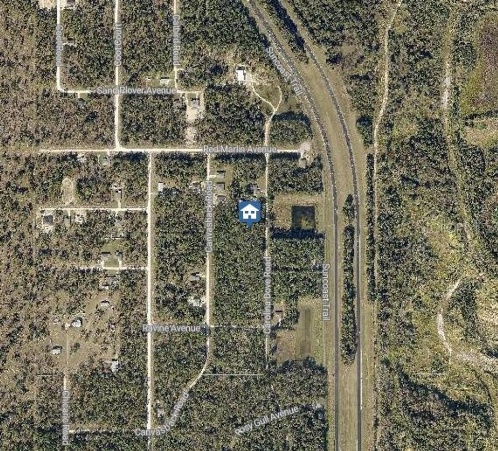 Photo of 1021 Carolina Dove Road, Brooksville, FL 34614 (MLS # W7880277)