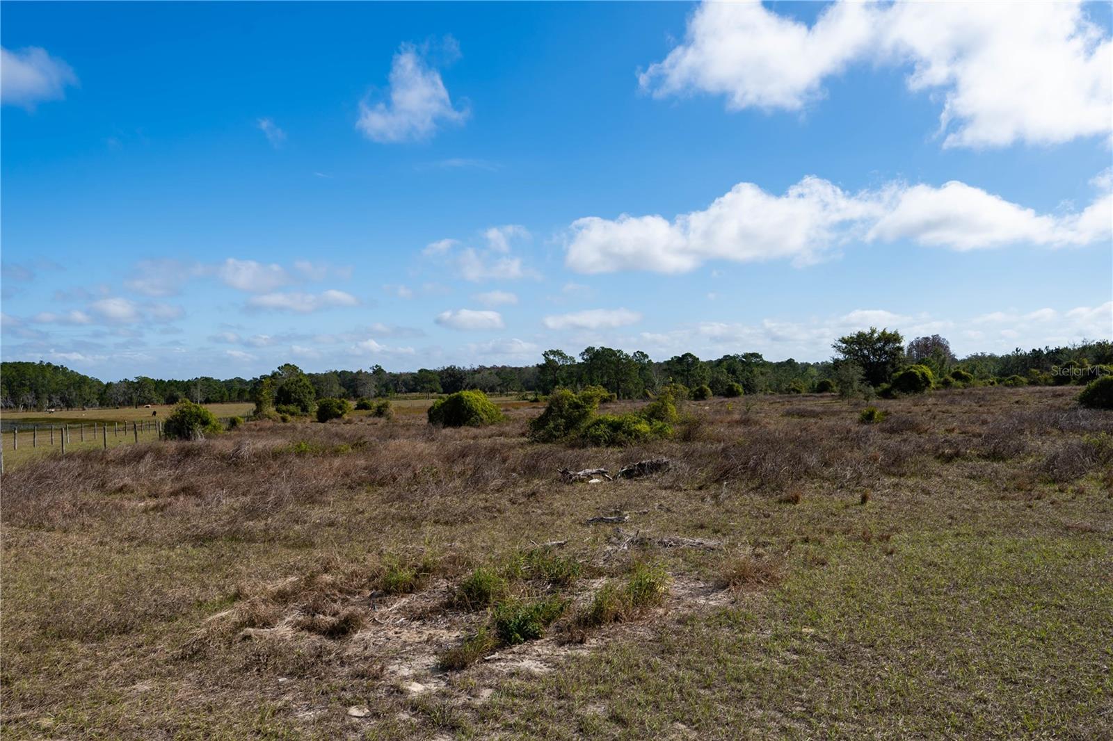 GROVELAND FARMS 09-23-25 - Land