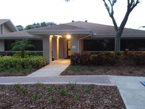 A home in PALM HARBOR