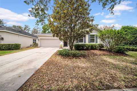 15810 STARLING WATER DRIVE LITHIA FL 33547