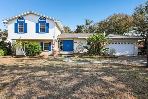 1101 TERRA MAR DRIVE TAMPA FL 33613