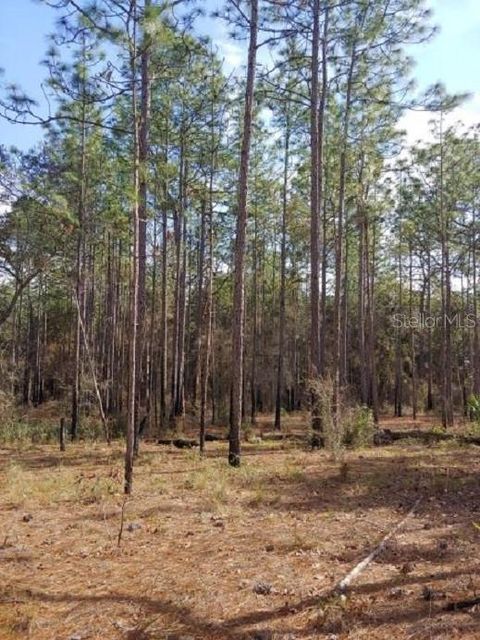 Tiny photo for 0 Us 41 Highway, Floral City, FL 34436 (MLS # O6324405)