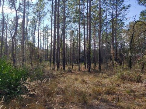 Tiny photo for 0 Us 41 Highway, Floral City, FL 34436 (MLS # O6324405)
