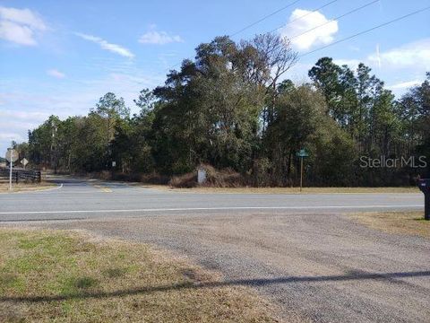 Tiny photo for 0 Us 41 Highway, Floral City, FL 34436 (MLS # O6324405)
