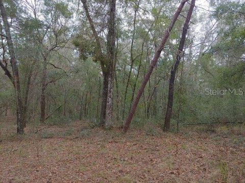 Tiny photo for 0 Us 41 Highway, Floral City, FL 34436 (MLS # O6324405)