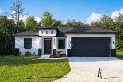 Photo of 13253 Rain Owl Avenue, Brooksville, FL 34614 (MLS # TB8430218)