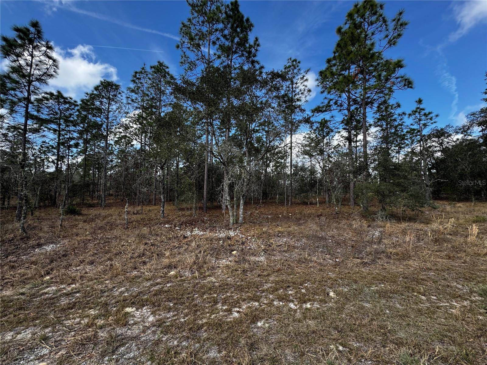 RAINBOW LAKES ESTATE - Land