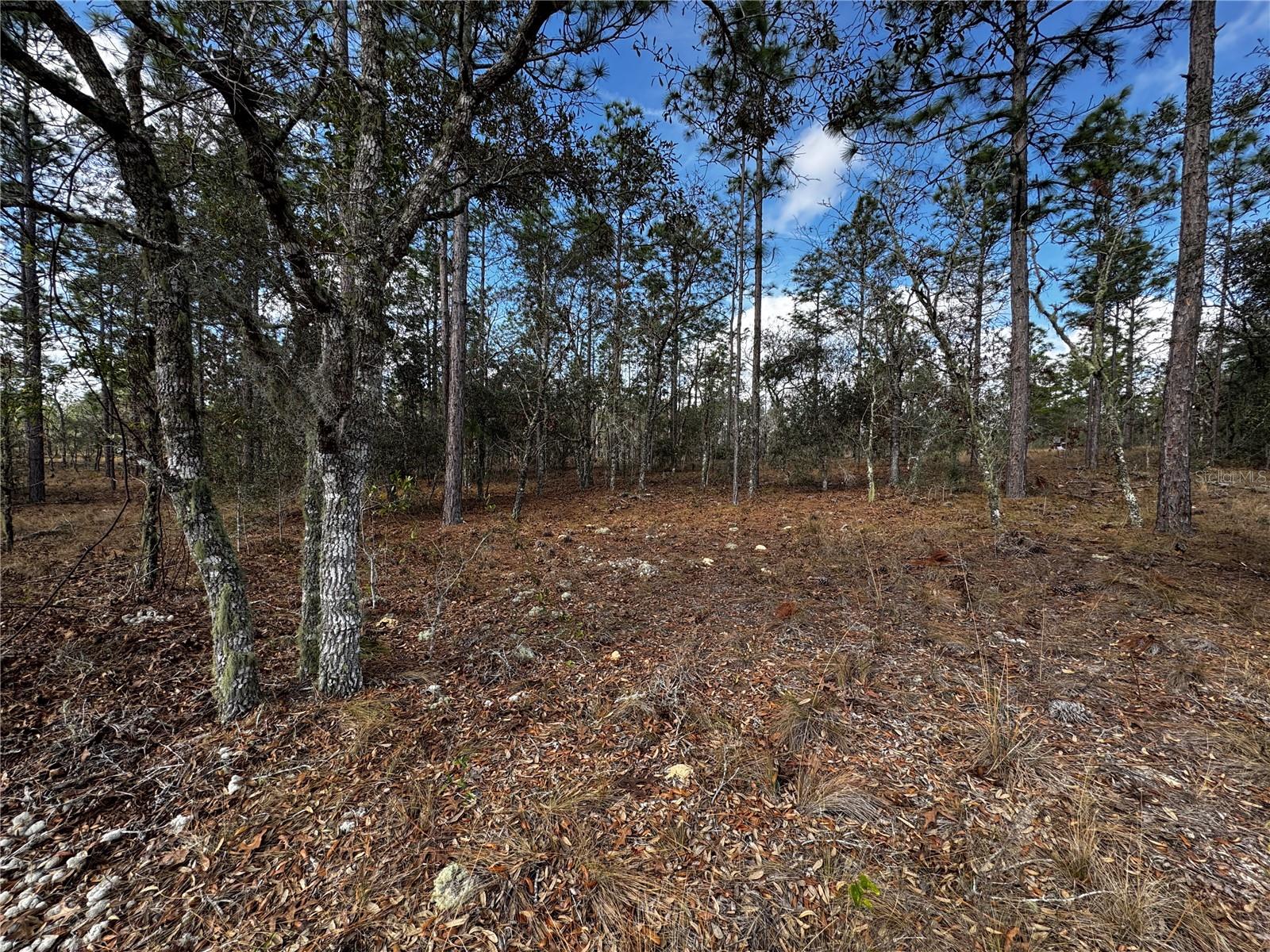 RAINBOW LAKES ESTATE - Land