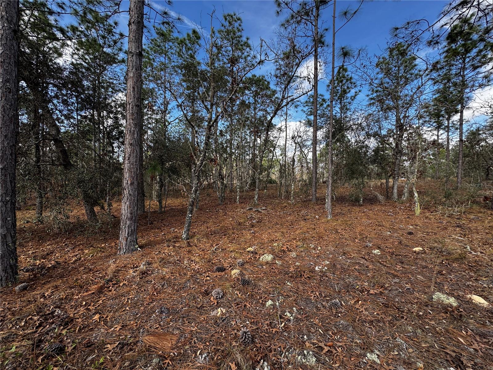 RAINBOW LAKES ESTATE - Land