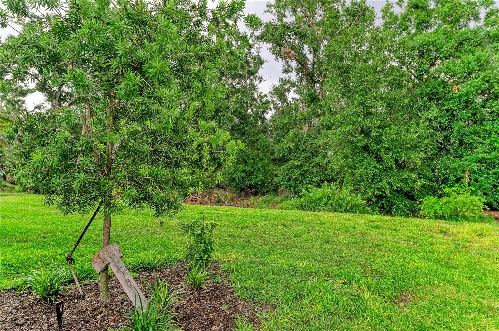 AZARIO ESPLANADE PH II SUBPH A, B & C - Residential