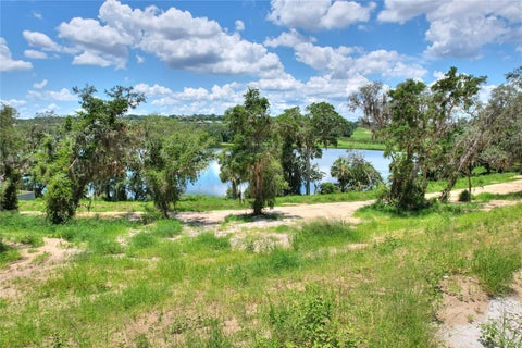 Tiny photo for 177 Tranquil Mirror Lake Court #Lot 5, Clermont, FL 34711 (MLS # O6444210)
