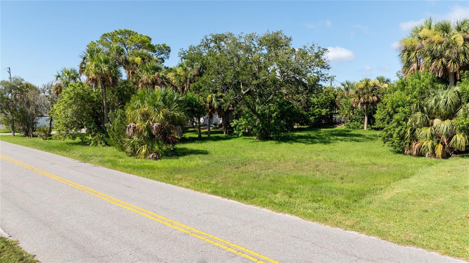 S PALMETTO AVENUE