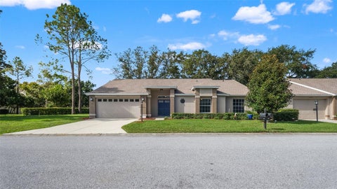 1385 Summerwood Court, Spring Hill, FL 34606
