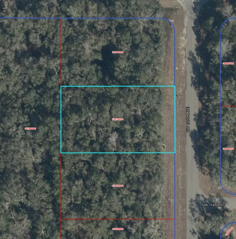CHIEFLAND COUNTRY ESTATES - Land