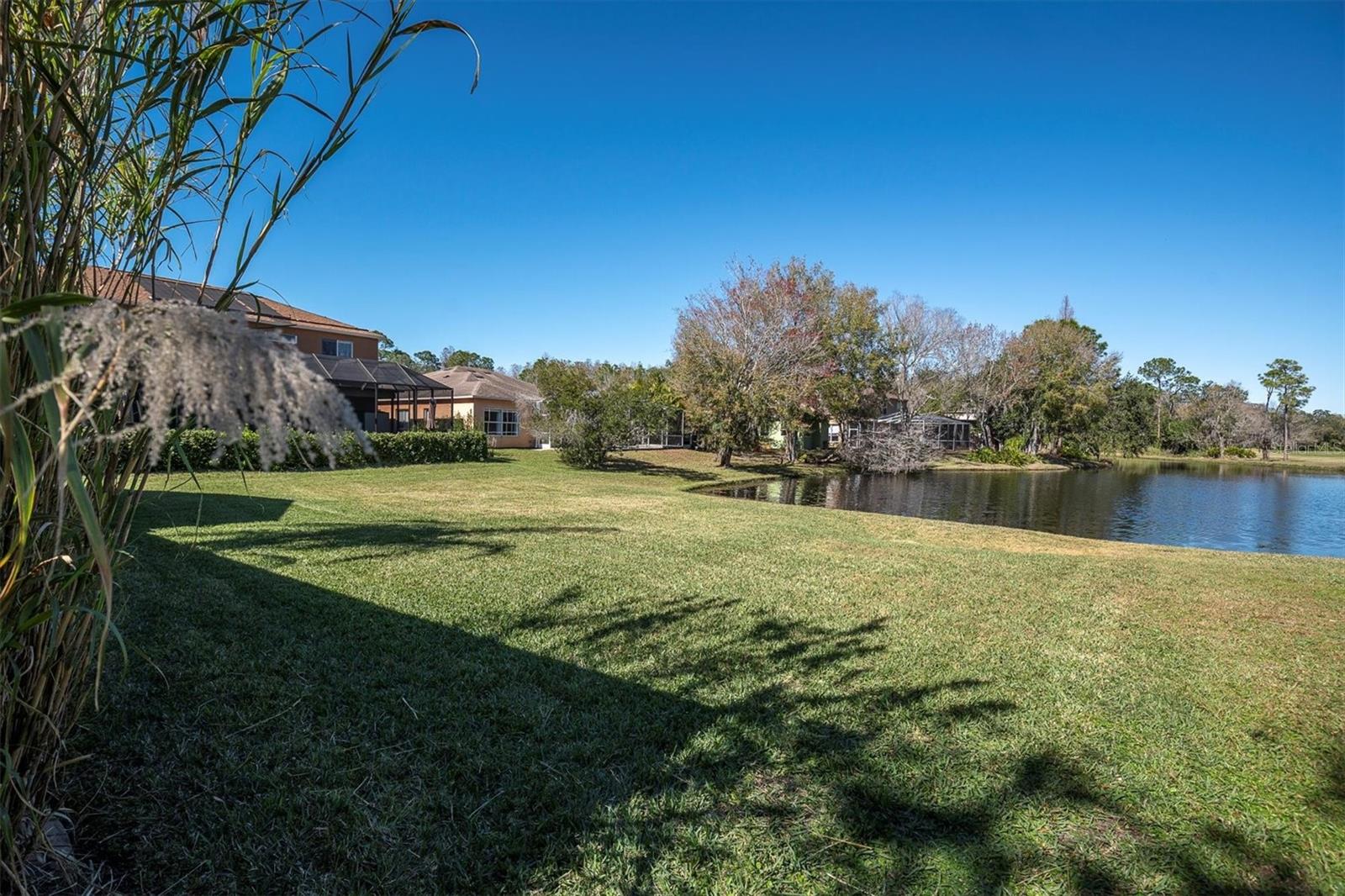 WINDSOR PARK AT THE EAGLES-FI - Residential