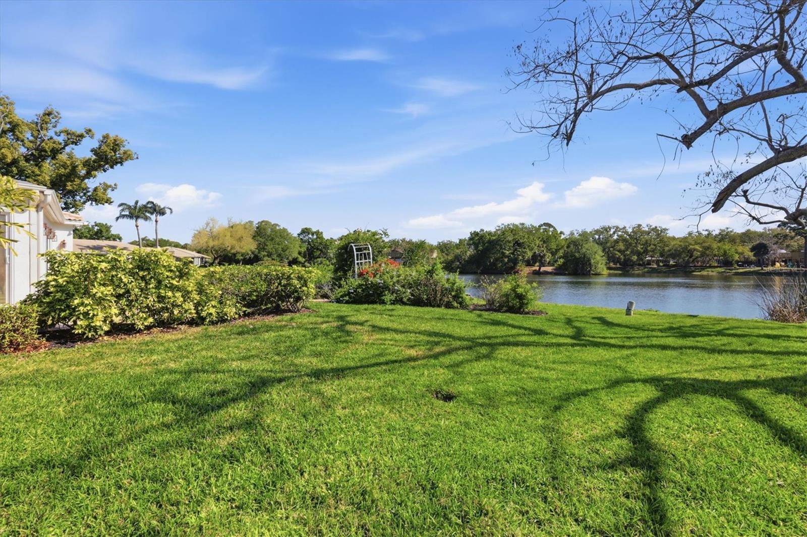 THE MEADOWS - Residential