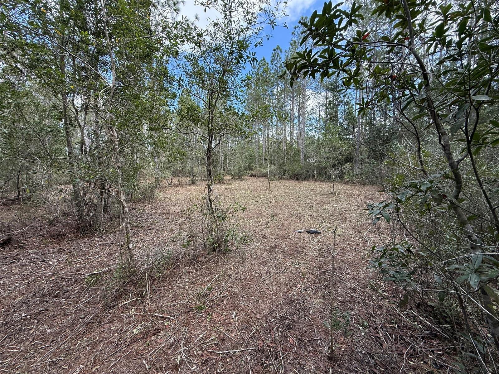 859 WILD CUR ROAD
