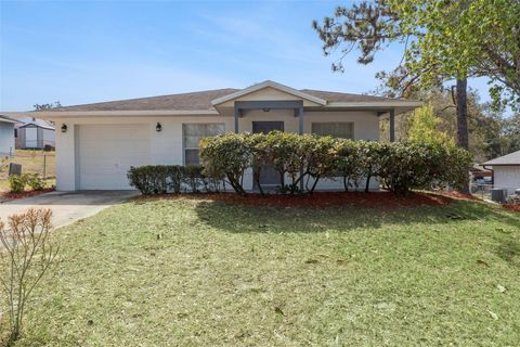 Photo of 433 Apopka Hills Circle, Apopka, FL 32703 (MLS # O6386196)