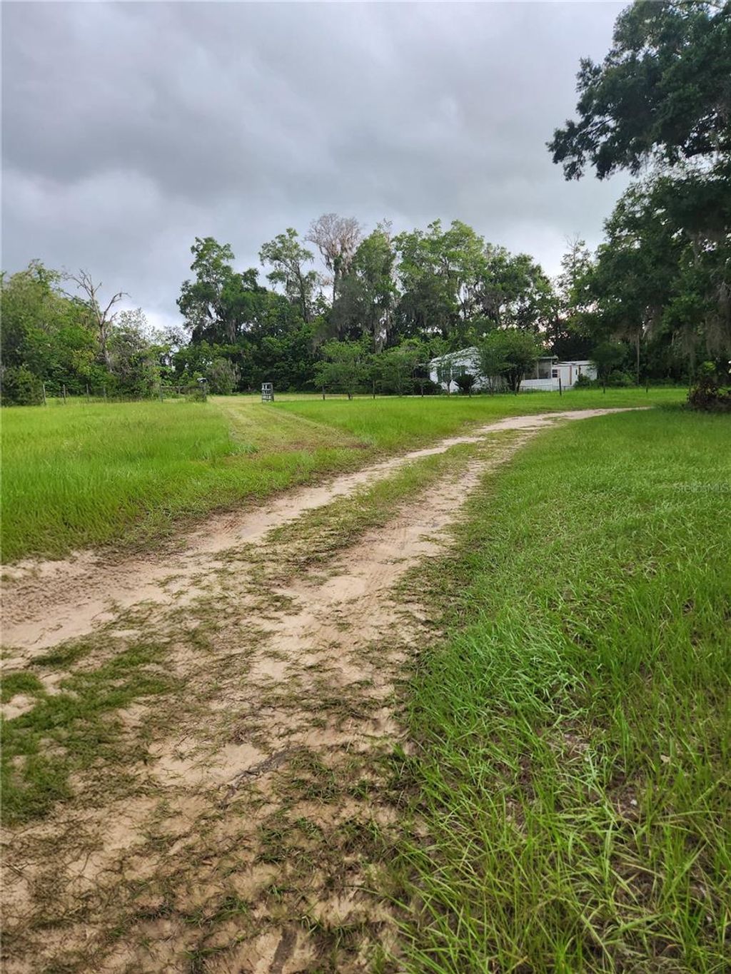 Photo of 9228 NE Jacksonville Road, Anthony, FL 32617 (MLS # OM718709)